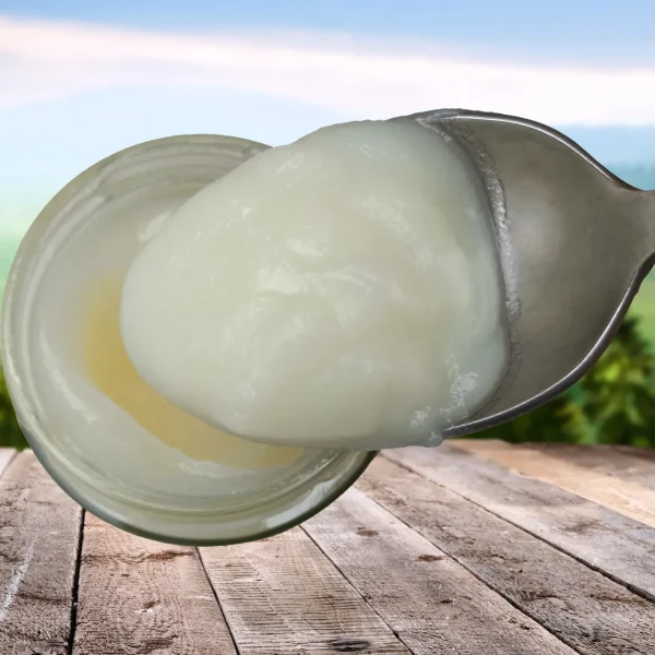 Барсучий жир фото 4