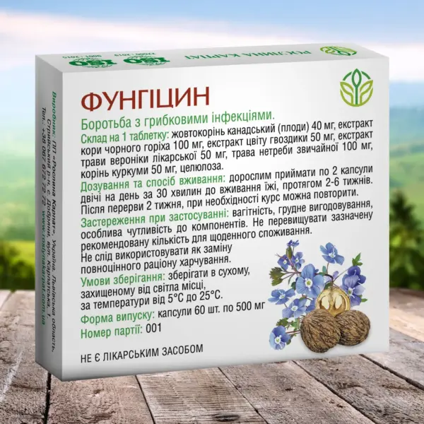 Фунгіцин проти грибків фото 2